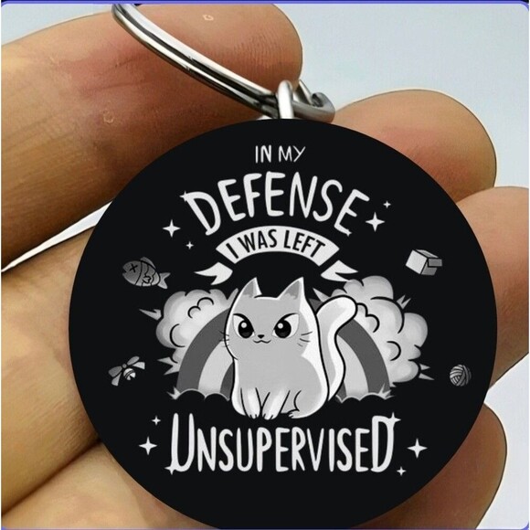 Disaster Chaos Kitty Cat Pet Animla Left Unsupervised Funny Stainless Keychain - Picture 1 of 1